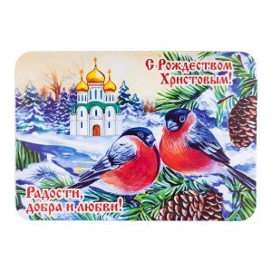 006002мп100015