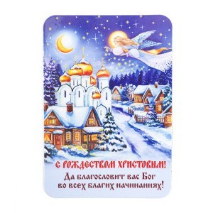 006002мп100017