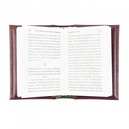 2004кнчех009 (9)