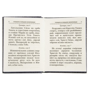 3002пкн145_5
