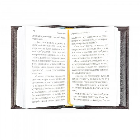 2004кнчех009 (9)