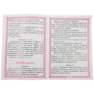 ИСР-244013007-4