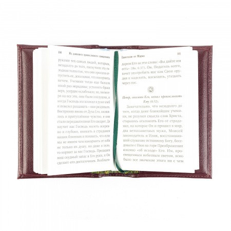 2004кнчех009 (10)