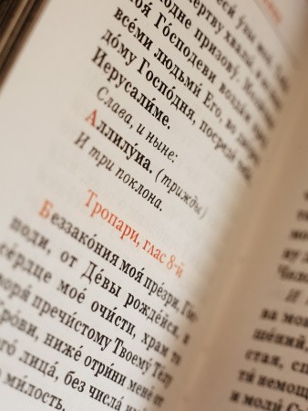 3002пкн284 4