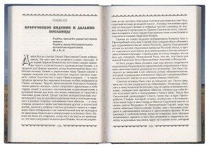 3004пкн645_5