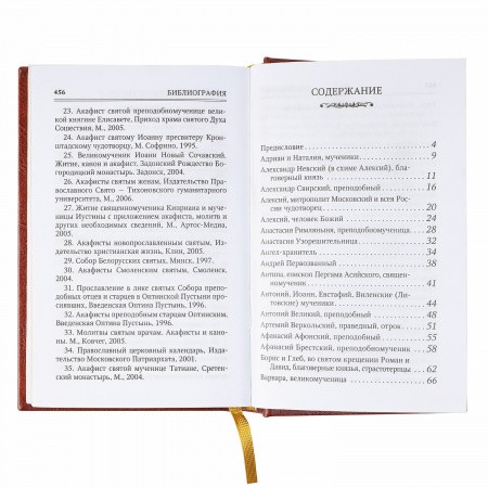 3001золотаясерия5 (5)