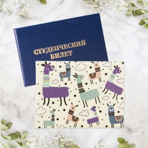 038001студ013 2