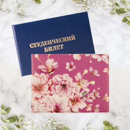 038001студ010 2