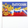 флажки-выпускник-3