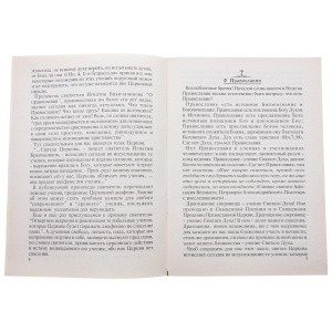 Святитель-Игнатий-Брянчанинов---о-Православии-3