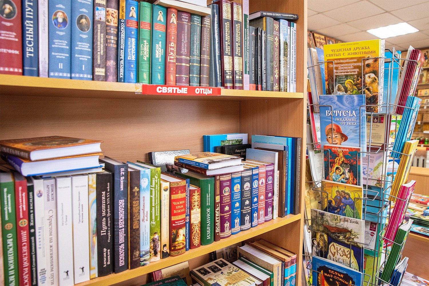 Масштабная оптовая акция на книги: скидки до - 55%!