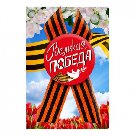 034005зз56050_2